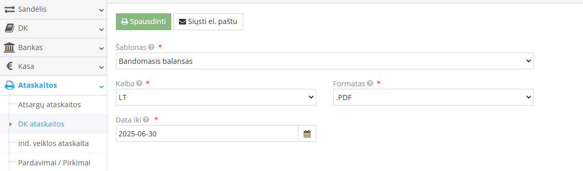 Bandomojo balanso ataskaitos generavimo langas