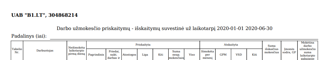 DU ataskaita už laikotarpį DK modulyje