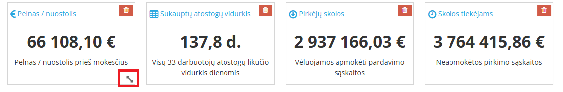 Įmonės informacijos suvestinės rodiklių koregavimas