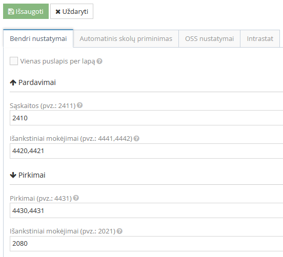 Nustatymai ataskaitai pavyzdys