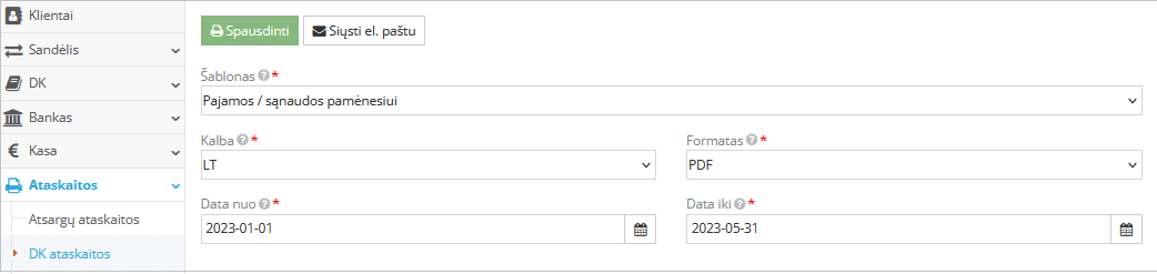 Pajamų ir sąnaudų ataskaitos pavyzdys