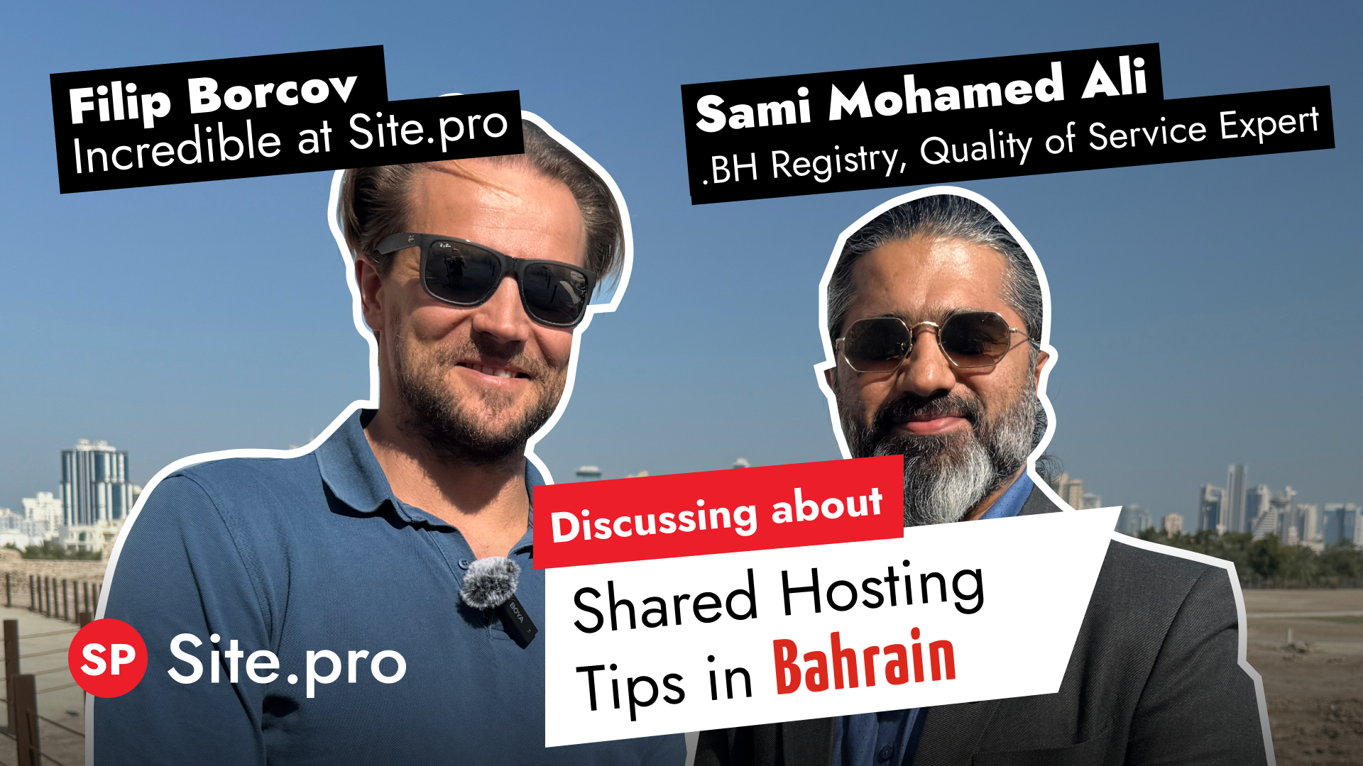 Bahrain: Shared Hosting and Domain Market Sector Introduction